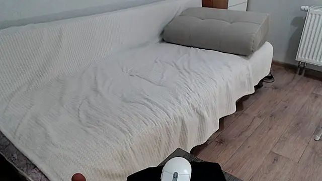 increible della online show from December 2024 07:43:01 PM