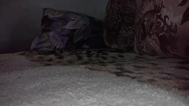 Snapshot of littledaddyflex chatting on September 2025 03:08:01 AM littledaddyflex online show from September 2025 03:08:01 AM