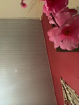 Snapshot of pimenta_gaby chatting on April 2026 03:37:01 PM pimenta gaby online show from April 2026 03:37:01 PM