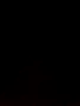 Like african online show from February 2026 04:33:01 PM