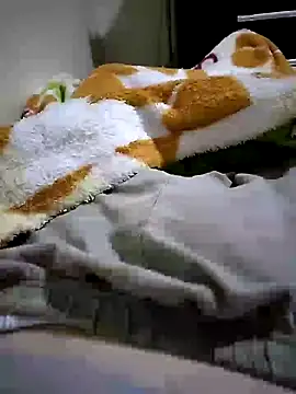 shiiank online show from May 2026 03:14:02 AM