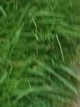 Mallu King of Penis online show from May 2026 04:35:02 PM