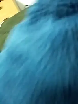 Snapshot of rxxx95 chatting on January 2025 08:17:01 PM rxxx95 online show from January 2025 08:17:01 PM