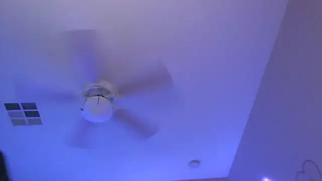 nativepumpkin95 online show from February 2025 05:19:02 AM