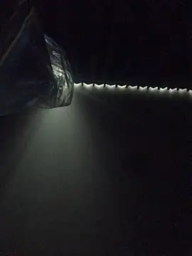 Snapshot of Janssen88 chatting on January 2025 08:57:02 AM Janssen88 online show from January 2025 08:57:02 AM