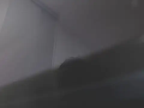 Snapshot of violetasweet11 chatting on February 2026 07:04:02 AM violetasweet11 online show from February 2026 07:04:02 AM