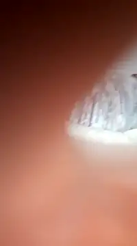 bms125 online show from March 2025 07:54:02 AM