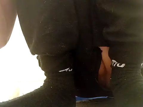 toyxltester online show from December 2024 04:31:02 AM