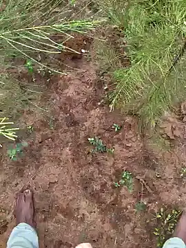 Snapshot of Gopal1243 chatting on December 2024 03:29:01 AM Gopal1243 online show from December 2024 03:29:01 AM