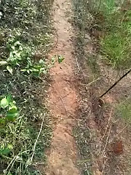 Snapshot of Gopal1243 chatting on December 2024 02:01:02 AM Gopal1243 online show from December 2024 02:01:02 AM