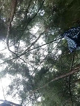 Snapshot of Gopal1243 chatting on September 2025 06:19:02 AM Gopal1243 online show from September 2025 06:19:02 AM