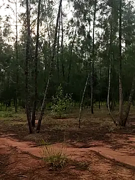 Snapshot of Gopal1243 chatting on October 2025 01:58:02 AM Gopal1243 online show from October 2025 01:58:02 AM