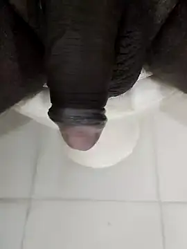 Rajibsorkar20 online show from January 2025 08:56:01 PM