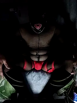 Snapshot of TheTree13 chatting on April 2026 01:42:02 PM TheTree13 online show from April 2026 01:42:02 PM