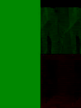 GeilerSchweizer online show from November 2025 08:47:01 AM