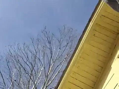 highstepper500 online show from December 2024 08:07:01 PM