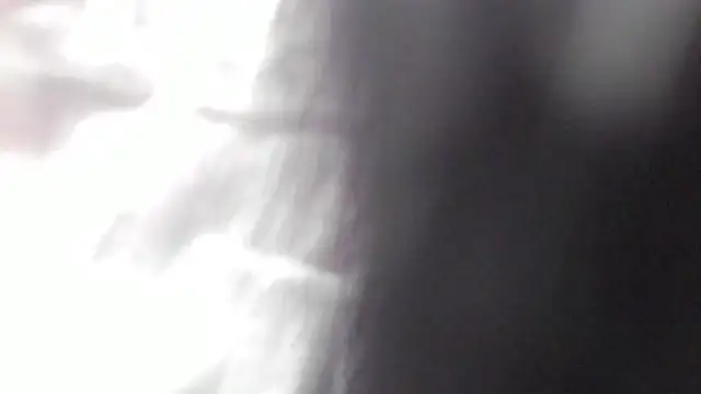 Snapshot of Emma_Torres__ chatting on February 2025 03:08:01 PM Emma Torres online show from February 2025 03:08:01 PM