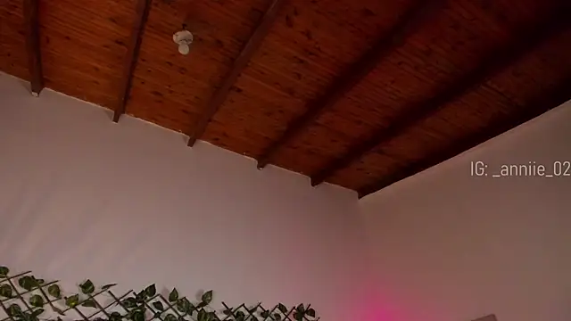 annie barozzi online show from January 2025 01:36:01 PM