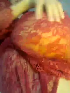 Sex Senfoura Arab online show from December 2024 12:32:02 AM