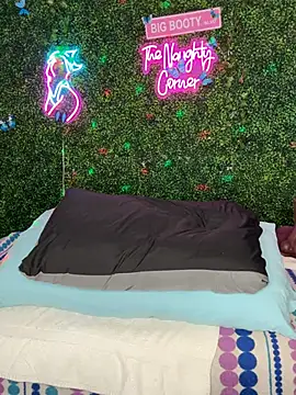 Snapshot of ThickAssRena chatting on February 2026 08:31:02 PM ThickAssRena online show from February 2026 08:31:02 PM