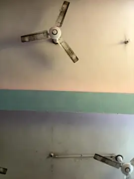 sum6255 online show from January 2026 11:12:01 AM