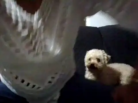 RAYA 1 online show from February 2025 12:51:01 AM