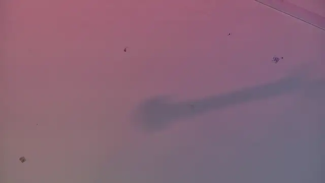 Scarlett collins02 online show from March 2025 08:08:01 AM