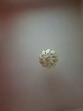 cuci45 online show from March 2026 02:16:01 AM