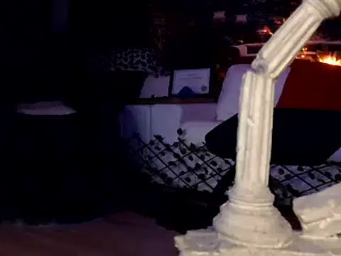 Snapshot of OSIRlS chatting on January 2025 12:00:01 PM OSIRlS online show from January 2025 12:00:01 PM