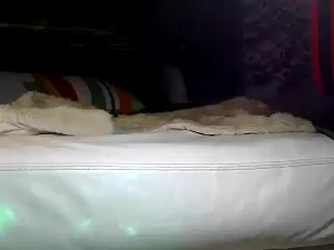 Snapshot of OSIRlS chatting on January 2025 04:47:01 PM OSIRlS online show from January 2025 04:47:01 PM