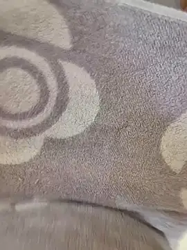 Snapshot of cuminpussyalot chatting on March 2026 01:26:01 PM cuminpussyalot online show from March 2026 01:26:01 PM