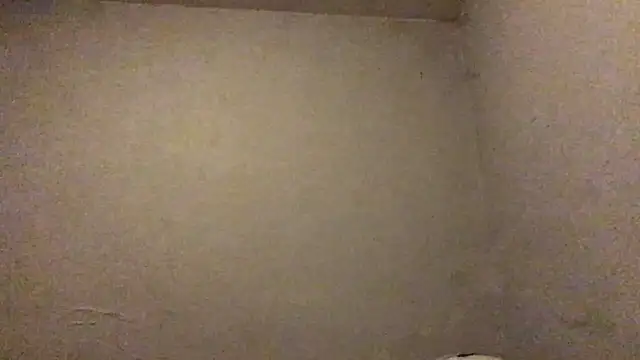 mondo29 online show from March 2025 02:53:02 AM