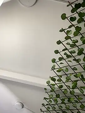 adriscute online show from April 2026 06:17:01 PM