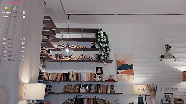 Riskyproject online show from March 2025 01:17:01 PM