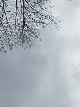 Snapshot of Iceblanca chatting on March 2025 09:58:02 PM Iceblanca online show from March 2025 09:58:02 PM