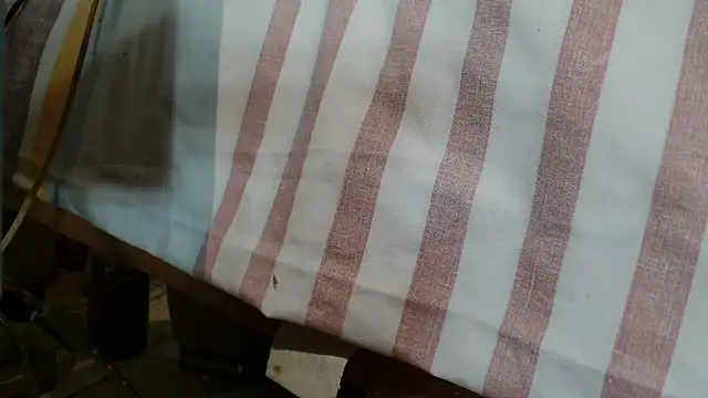 Vanessa117 online show from January 2026 06:31:01 PM