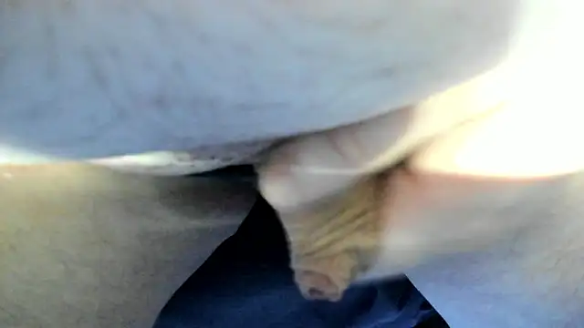 Big Andiy online show from September 2025 02:33:02 AM