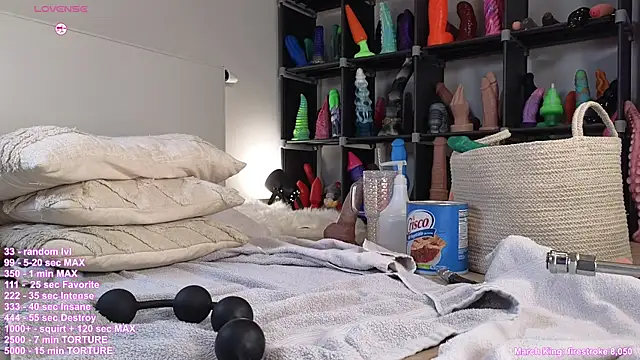 Snapshot of hayleex_x chatting on March 2025 06:01:02 PM hayleex x online show from March 2025 06:01:02 PM