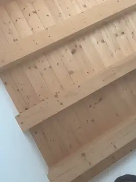 Fellix online show from February 2025 11:43:01 AM