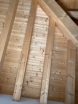 Fellix online show from October 2025 11:47:02 AM