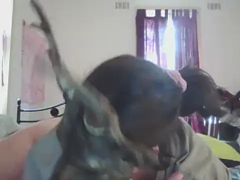 ellieXXXbaby online show from December 2024 12:55:02 AM