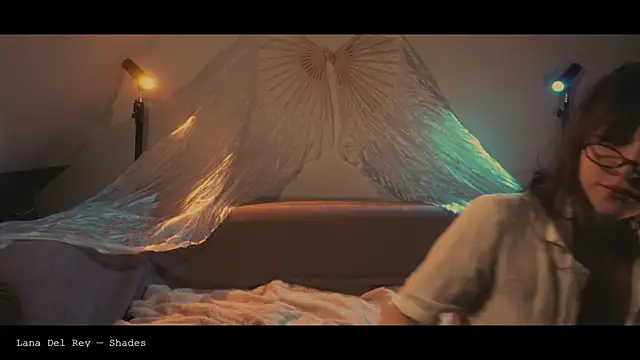 Snapshot of WebCora chatting on April 2026 04:52:02 PM WebCora online show from April 2026 04:52:02 PM