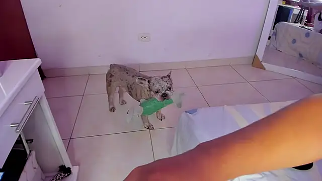 SophiieWilson  online show from October 2025 03:43:01 AM