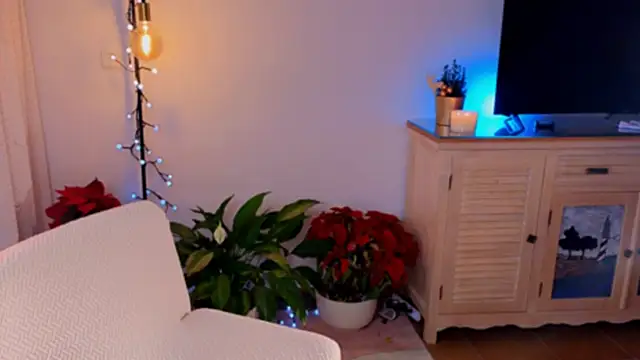 Snapshot of anabelcurvy chatting on December 2024 04:07:02 PM anabelcurvy online show from December 2024 04:07:02 PM