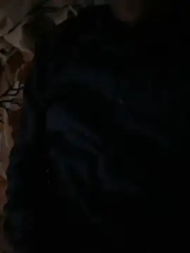 Itsdesi boy online show from November 2025 12:14:02 PM