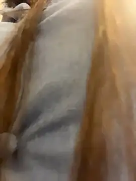 Reggie-Liam online show from January 2026 12:46:01 AM