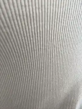 Snapshot of Reggie-Liam chatting on March 2026 05:30:01 PM Reggie-Liam online show from March 2026 05:30:01 PM