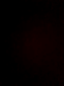 Longlund9 online show from February 2025 05:13:02 PM