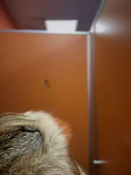 pinkstar  online show from February 2025 09:10:02 AM