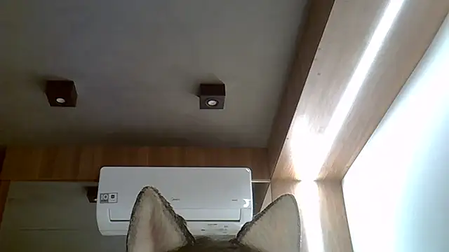 Snapshot of Skinny-Kitten chatting on September 2025 02:45:01 AM Skinny-Kitten online show from September 2025 02:45:01 AM